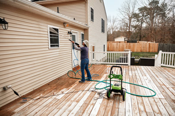 Best Roof Pressure Washing  in Allison, IA