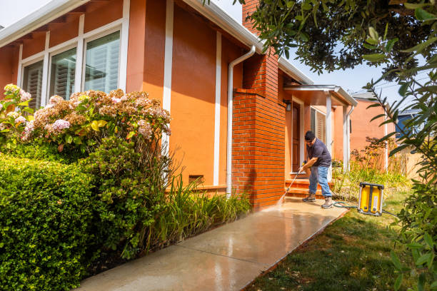 Best Power Washing Near Me  in Allison, IA